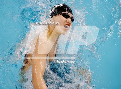 Thumbnail 2 in UIL 5A State Varsity Swim and Dive Finals photogallery.