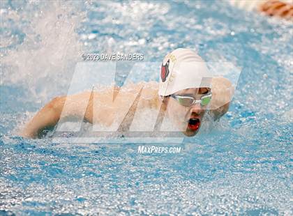 Thumbnail 3 in UIL 5A State Varsity Swim and Dive Finals photogallery.