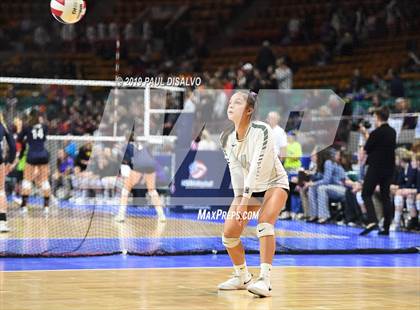 Thumbnail 1 in Coronado vs. D'Evelyn (CHSAA 4A Round 1) photogallery.