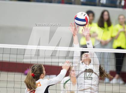 Thumbnail 3 in Coronado vs. D'Evelyn (CHSAA 4A Round 1) photogallery.
