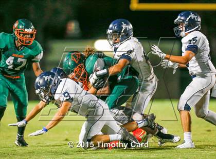 Thumbnail 2 in Taravella @ McArthur photogallery.
