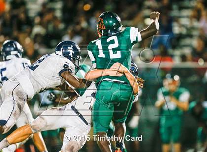 Thumbnail 3 in Taravella @ McArthur photogallery.