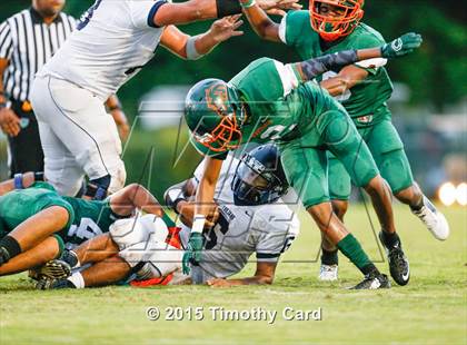 Thumbnail 3 in Taravella @ McArthur photogallery.
