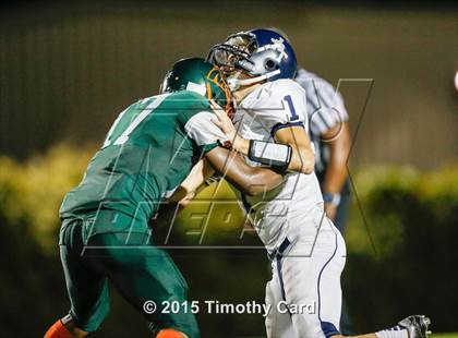 Thumbnail 1 in Taravella @ McArthur photogallery.