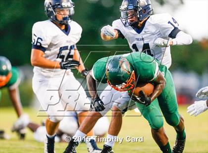 Thumbnail 2 in Taravella @ McArthur photogallery.