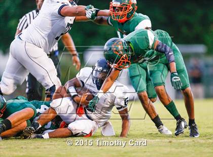 Thumbnail 2 in Taravella @ McArthur photogallery.