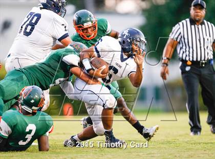 Thumbnail 3 in Taravella @ McArthur photogallery.