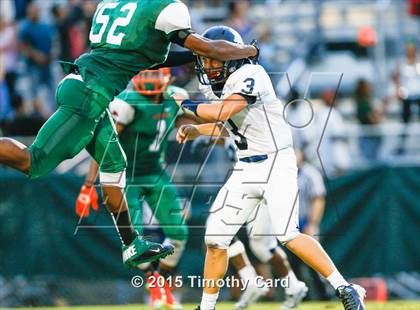 Thumbnail 1 in Taravella @ McArthur photogallery.