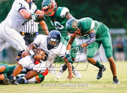Thumbnail 1 in Taravella @ McArthur photogallery.