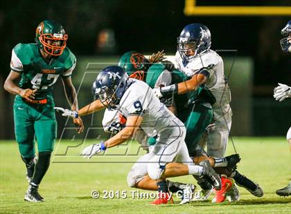 Thumbnail 1 in Taravella @ McArthur photogallery.