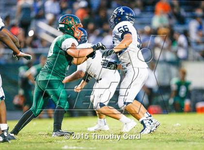 Thumbnail 1 in Taravella @ McArthur photogallery.