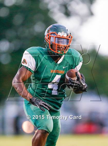 Thumbnail 1 in Taravella @ McArthur photogallery.