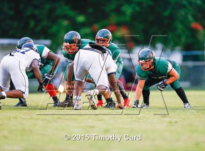 Thumbnail 1 in Taravella @ McArthur photogallery.