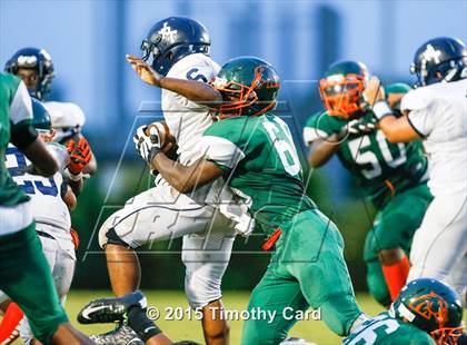Thumbnail 1 in Taravella @ McArthur photogallery.