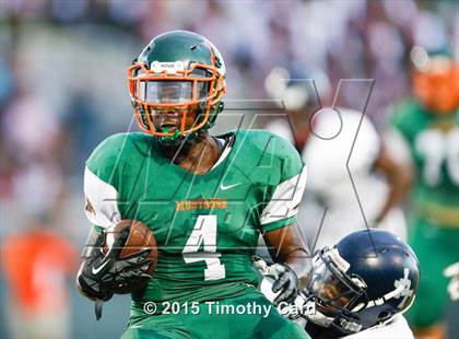 Thumbnail 1 in Taravella @ McArthur photogallery.