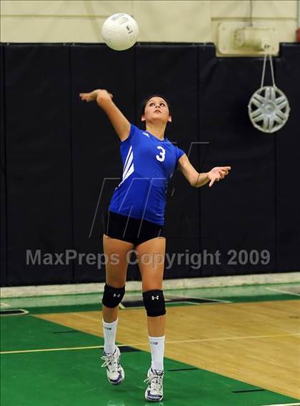 Thumbnail 3 in Del Campo @ El Camino photogallery.