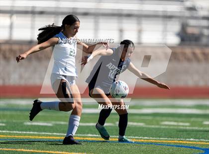 Thumbnail 1 in Homestead @ Aptos (CIF CSS Div II Round 1) photogallery.