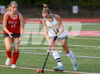 Thumbnail 3 in Morris Knolls @ Morris Hills photogallery.