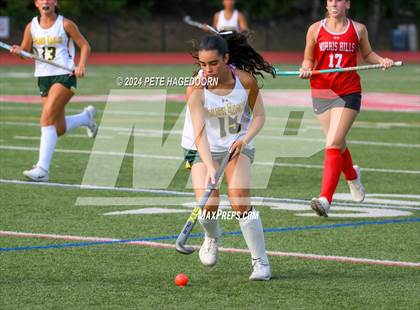 Thumbnail 1 in Morris Knolls @ Morris Hills photogallery.