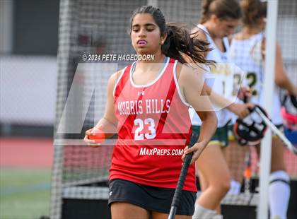 Thumbnail 1 in Morris Knolls @ Morris Hills photogallery.