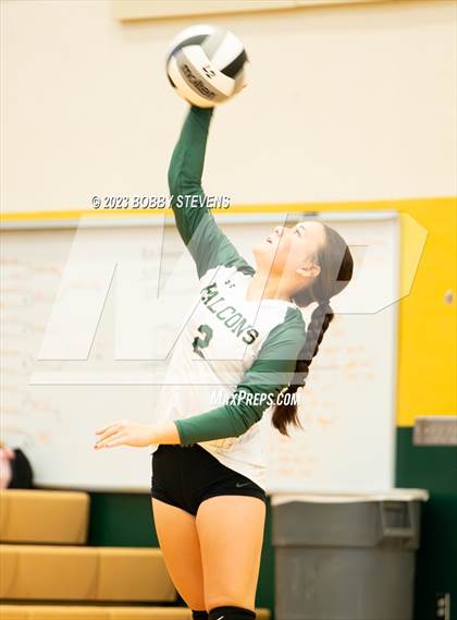 Thumbnail 1 in Mitchell @ Falcon photogallery.