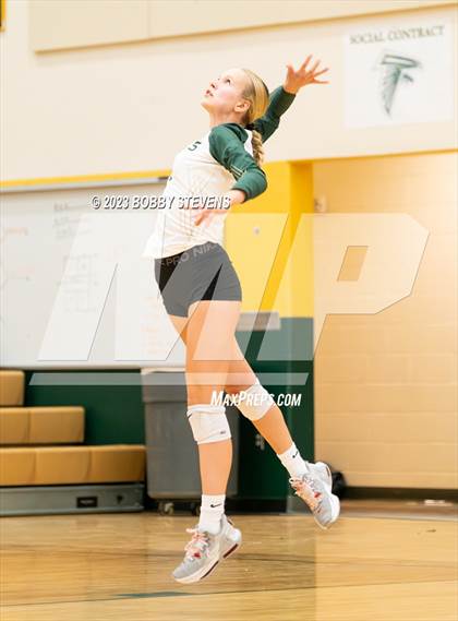 Thumbnail 1 in Mitchell @ Falcon photogallery.