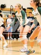 Photo from the gallery "Mitchell @ Falcon"