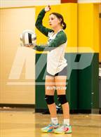 Photo from the gallery "Mitchell @ Falcon"