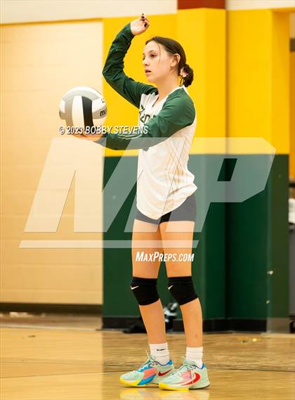 Thumbnail 1 in Mitchell @ Falcon photogallery.