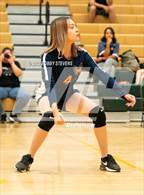 Photo from the gallery "Mitchell @ Falcon"