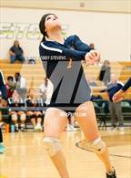 Photo from the gallery "Mitchell @ Falcon"