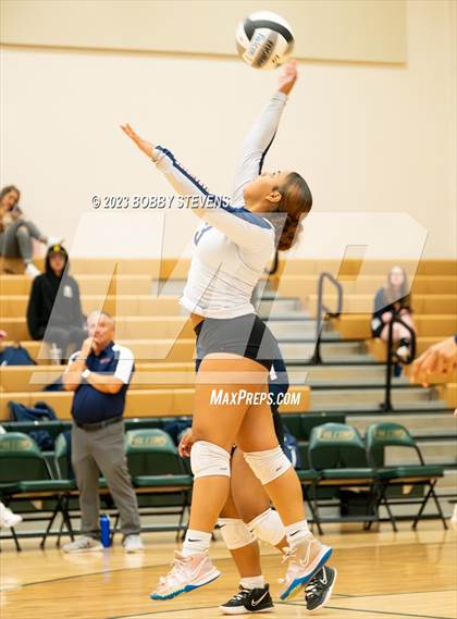 Thumbnail 3 in Mitchell @ Falcon photogallery.