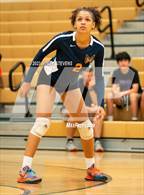 Photo from the gallery "Mitchell @ Falcon"