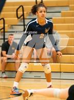 Photo from the gallery "Mitchell @ Falcon"