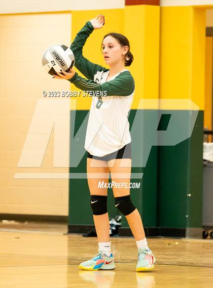 Thumbnail 3 in Mitchell @ Falcon photogallery.