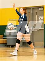 Photo from the gallery "Mitchell @ Falcon"