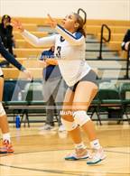 Photo from the gallery "Mitchell @ Falcon"