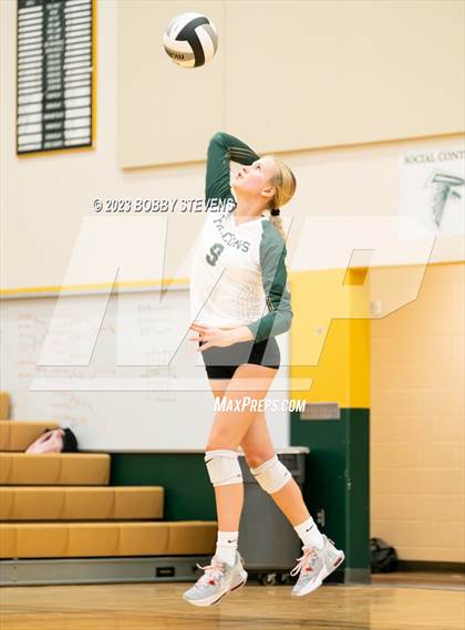 Thumbnail 2 in Mitchell @ Falcon photogallery.
