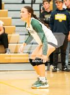 Photo from the gallery "Mitchell @ Falcon"