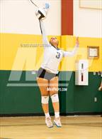 Photo from the gallery "Mitchell @ Falcon"