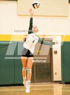 Photo from the gallery "Mitchell @ Falcon"