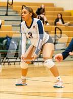 Photo from the gallery "Mitchell @ Falcon"