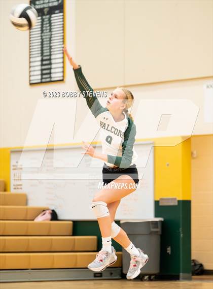 Thumbnail 3 in Mitchell @ Falcon photogallery.