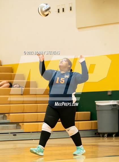 Thumbnail 3 in Mitchell @ Falcon photogallery.