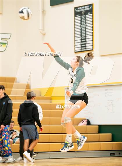 Thumbnail 2 in Mitchell @ Falcon photogallery.