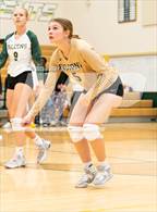 Photo from the gallery "Mitchell @ Falcon"