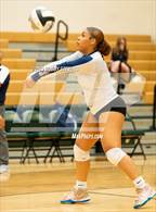 Photo from the gallery "Mitchell @ Falcon"