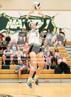 Photo from the gallery "Mitchell @ Falcon"