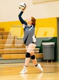 Photo from the gallery "Mitchell @ Falcon"