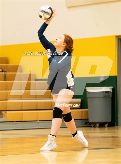 Thumbnail 1 in Mitchell @ Falcon photogallery.